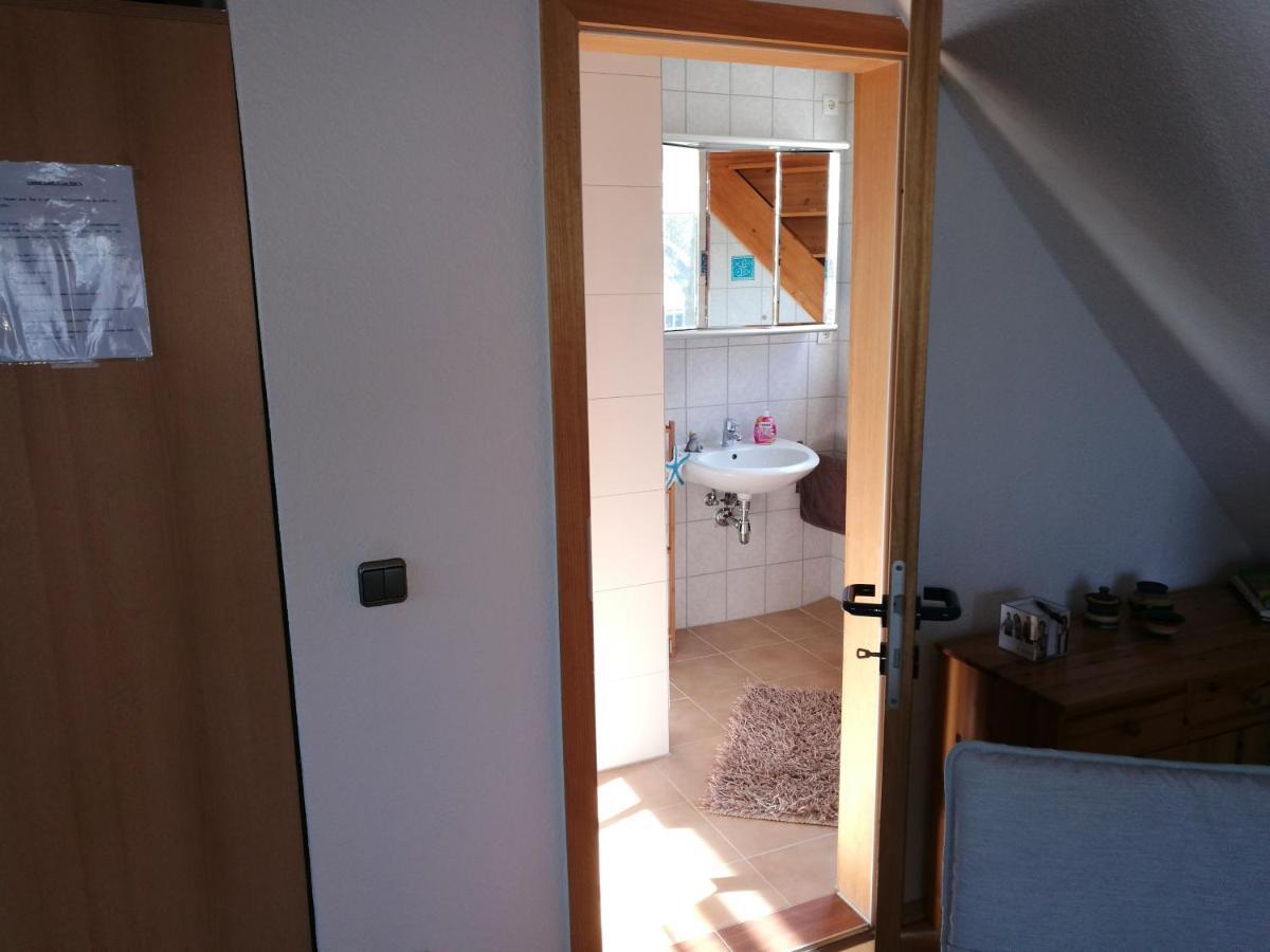 Galerie Am Hafen Appartement Zingst Buitenkant foto